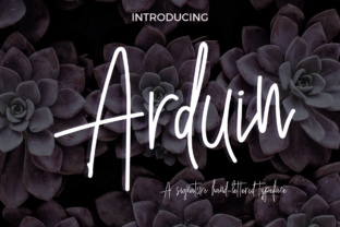 Arduin as a Strategic Framework for Intentional Decision-Making