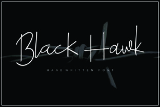 Black Hawk: More Than a Military Workhorse