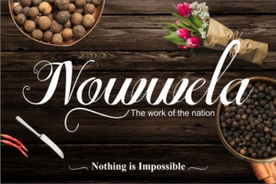 Elevate Your Brand with Nowwela