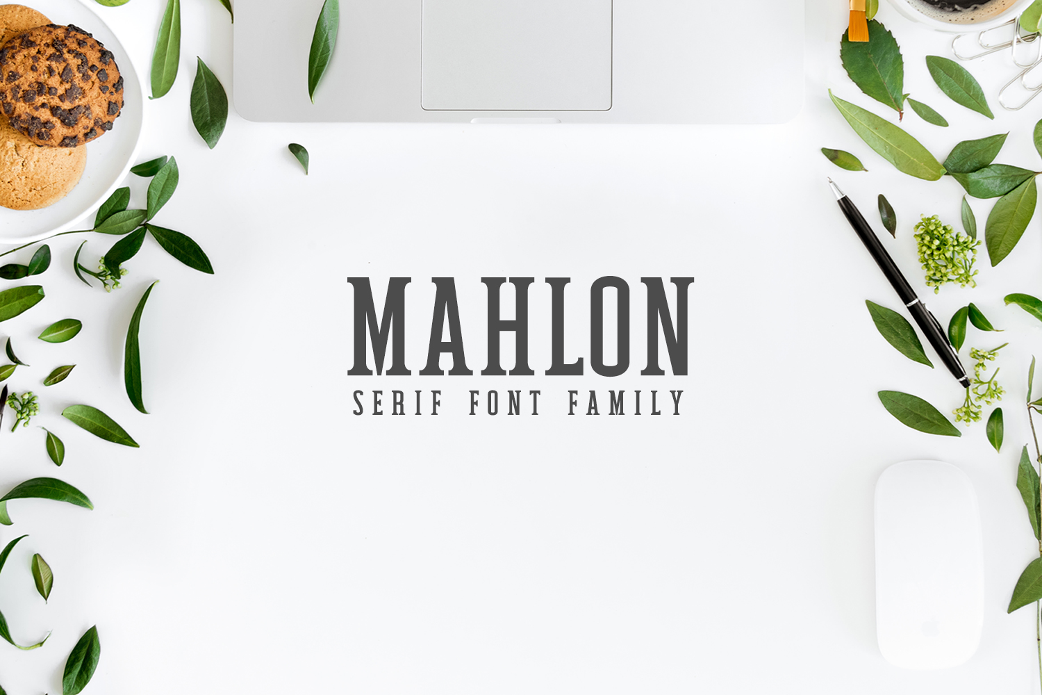 Lessons from Mahlon: Finding Strength in Loss and Building a New Beginning