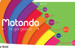 Matondo Bold: Why Smart Creators Use It Differently