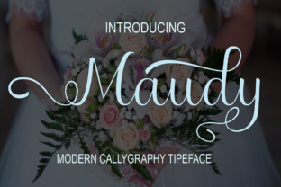 Maudy: A Practical Tool for Creative and Professional Workflows