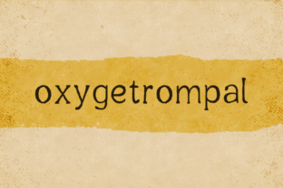 Oxygetrompal: Your All-in-One Productivity & Creativity Hub