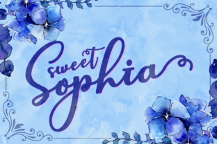 Sweet Sophia: A Practical Overview for Thoughtful Evaluation