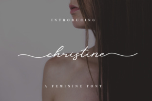 The Christine Framework: A Practical Guide to Adaptive Expertise