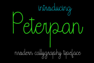 The Peterpan Principle: Why Professionals Are Embracing the Art of Never Growing Up