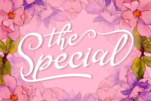 The Special: A Practical Framework for Consistent Excellence