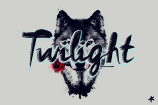 Twilight: A Practical Guide for Thoughtful Readers