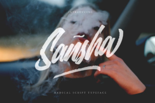 Understanding Sansha: A Framework for Clarity and Intentional Action in a Complex World