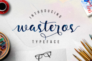 Wasteros: A Practical Look at What It Offers and How It Compares